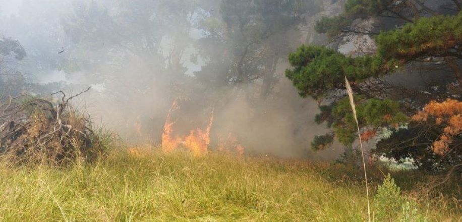 Aseguran que está “aplacado” el incendio en El Marquesado