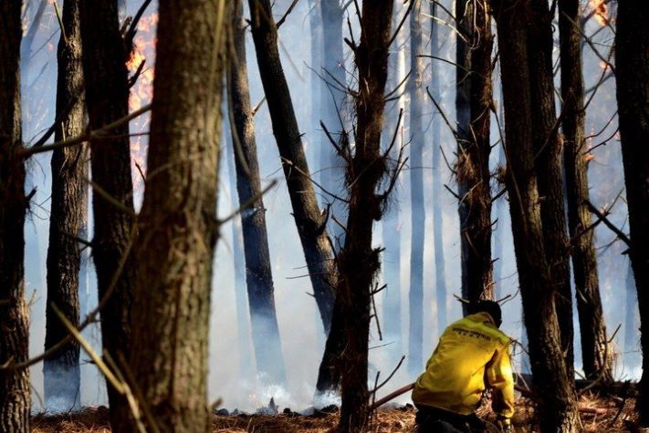 Controlaron el incendio en el vivero de Miramar: se quemaron 50 hectáreas de bosque