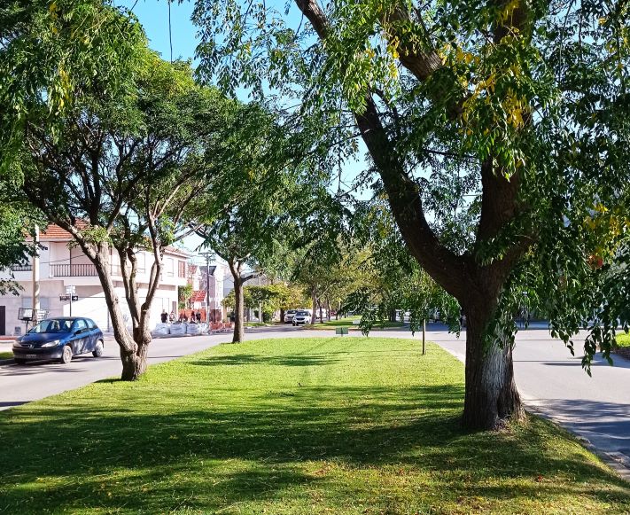 Miramar: así estará el tiempo para este jueves