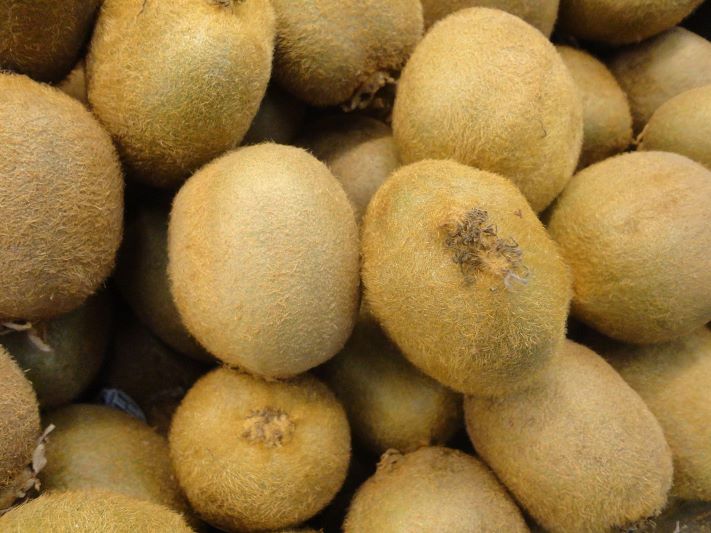 Exportaron el primer cargamento de kiwi desde Miramar a Uruguay