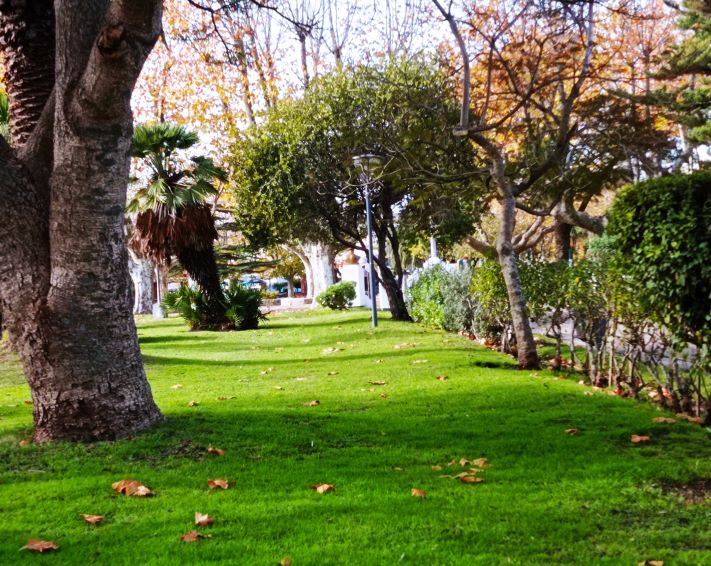 Miramar y zona: como esta el tiempo para este sábado
