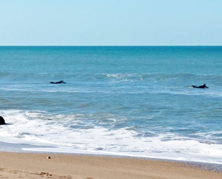 Domingo: así está el tiempo en Miramar
