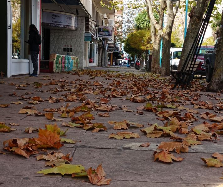Cómo estará el tiempo este domingo en Miramar y zona
