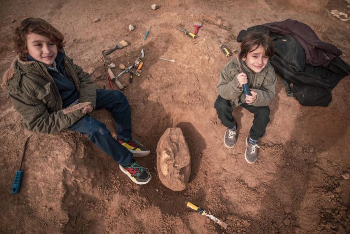 Un nene de 8 años encontró el cráneo de un animal prehistórico en las playas de Santa Clara del Mar