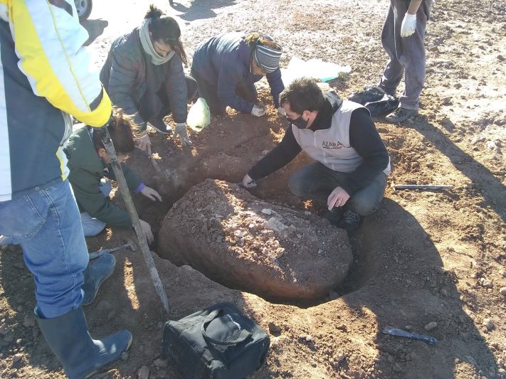 Pescadores de Miramar hallan restos fósiles
