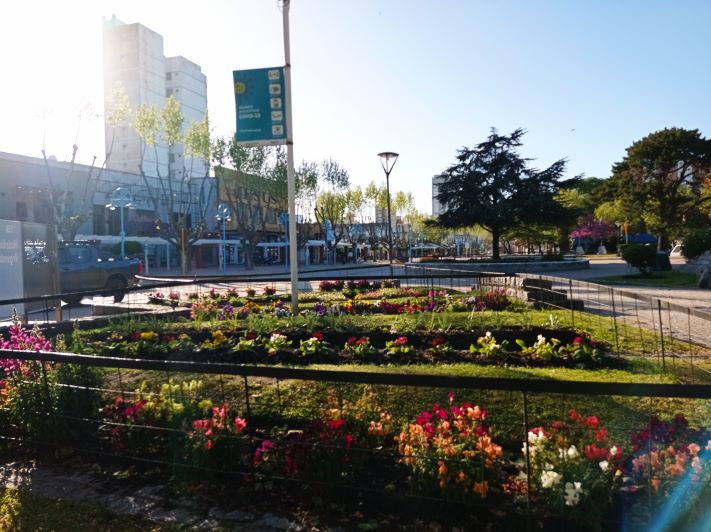 Miramar y zona: soleado con una máxima de 18°C para este lunes feriado