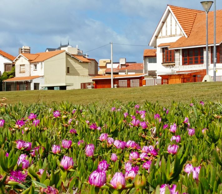 Miramar: cómo estará el tiempo para este jueves