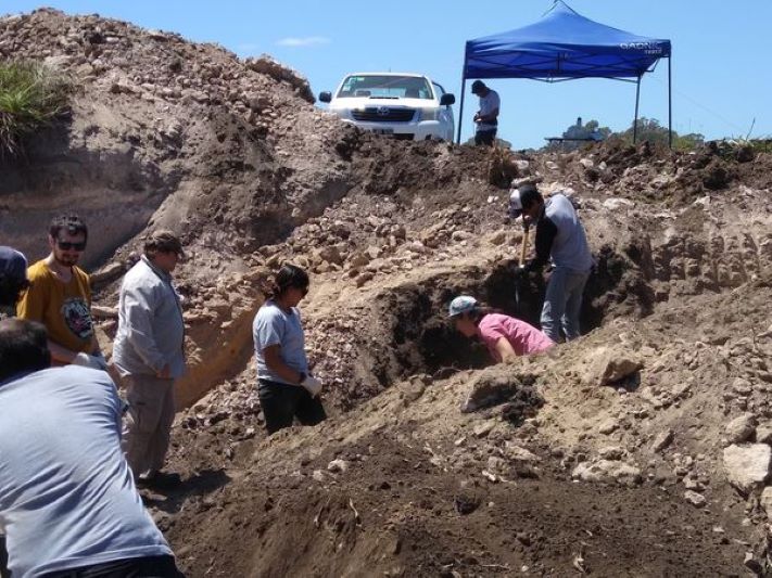 Se realiza la extracción de un gliptodonte hallado en inmediaciones de Cdte. N. Otamendi