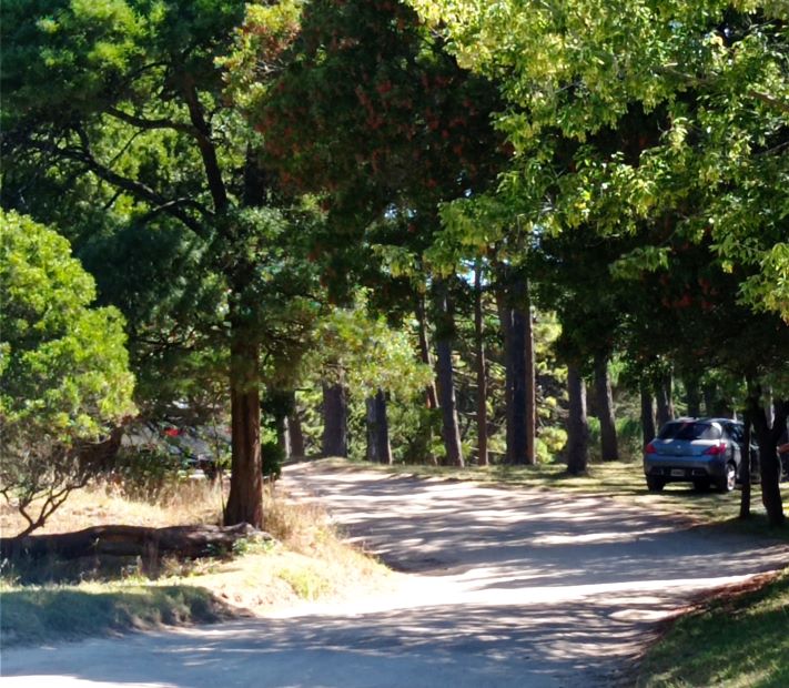 Miramar: el lunes con cielo despejado y una máxima de 28°C.
