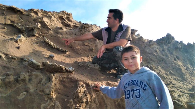Un niño de 8 años encontró fósiles de un perezoso gigante de la Edad de hielo en Miramar.