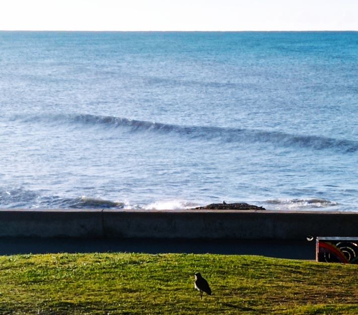 Miramar y zona: así estará el tiempo para este jueves