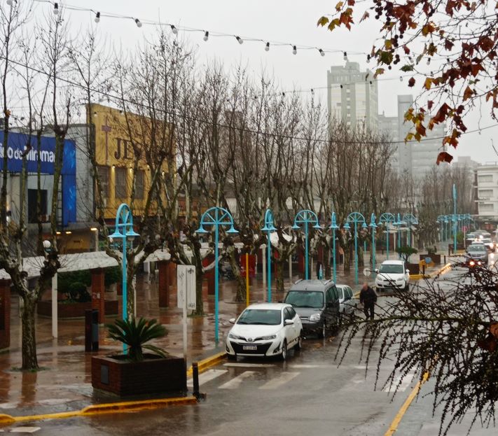 Cayeron más de 80 milímetros en General Alvarado