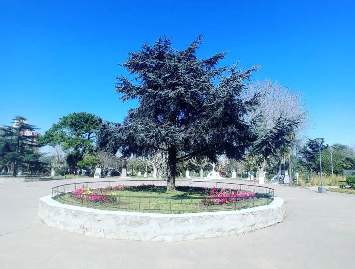 Miramar: así estará el tiempo para este lunes
