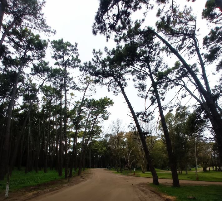 Miramar y la región: cómo estará el tiempo para este domingo