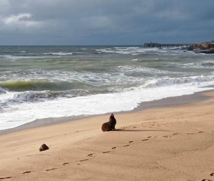 Miramar: el tiempo para este jueves