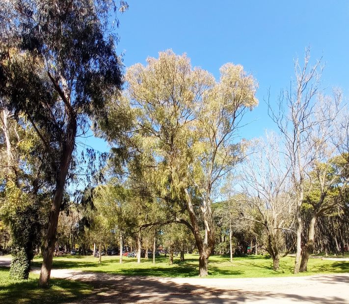 Semana Santa en Miramar: “Pascua Viva en el Vivero”, un finde para disfrutar en familia