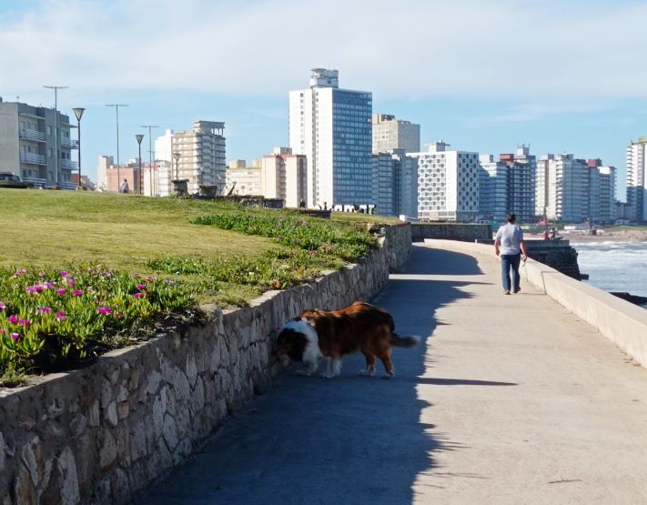 Miramar: cómo esta el tiempo para este miércoles