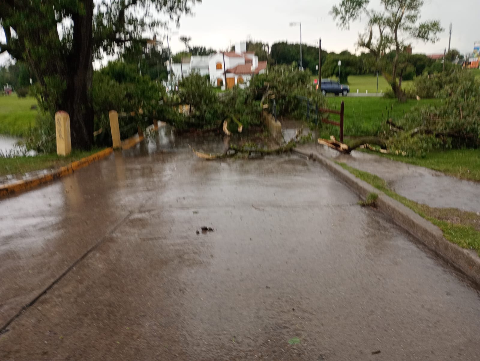 Temporal de viento, lluvia y granizo provocó destrozos en varios sectores de Miramar
