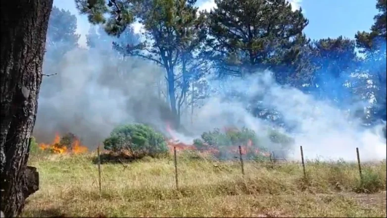 Incendio en El Marquesado: “Fue por la mano del hombre”