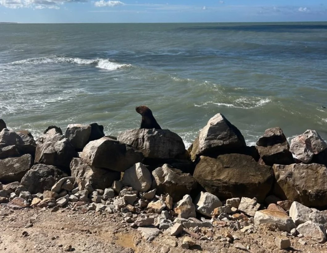 Sábado fresco y con probabilidad de chaparrones en Miramar