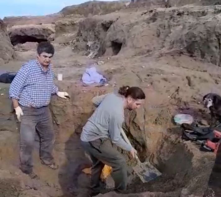 Siguen apareciendo fósiles en Punta Hermengo: rescatan restos de un perezoso gigante prehistórico
