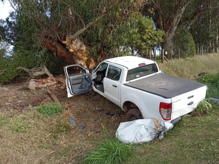 Choque en el camino viejo a Miramar: una camioneta se incrustó contra un árbol