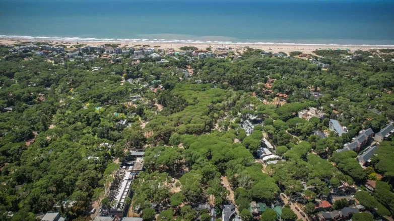 Cariló: vecinos impulsan un proyecto para alambrar la localidad y avanzar con controles estrictos de ingreso