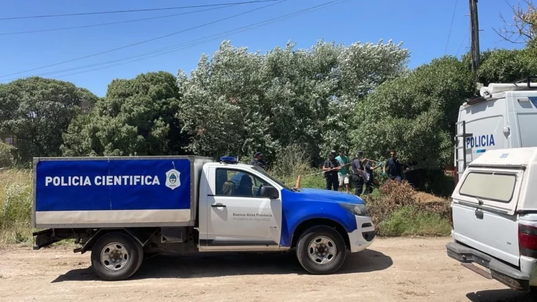 Qué reveló el informe preliminar de la autopsia en el caso Alejandra Tolosa