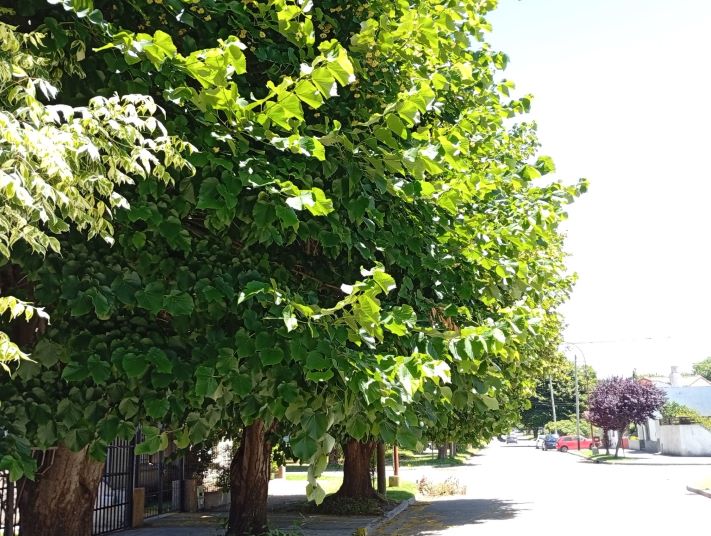 Cuento corto: El perfume que vuelve