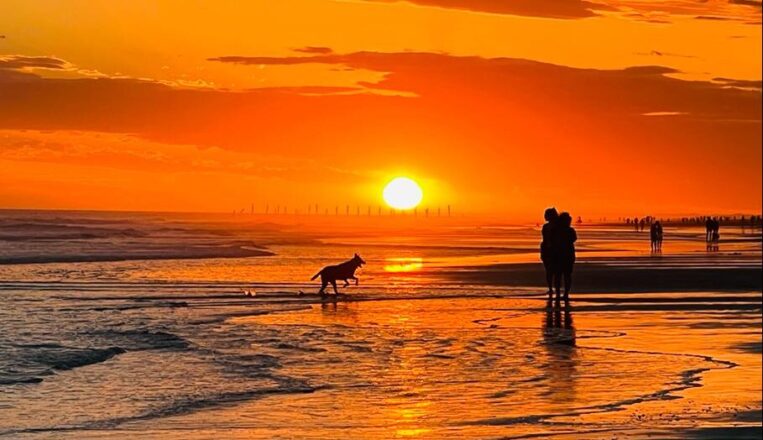 Reflexión: La relación puente