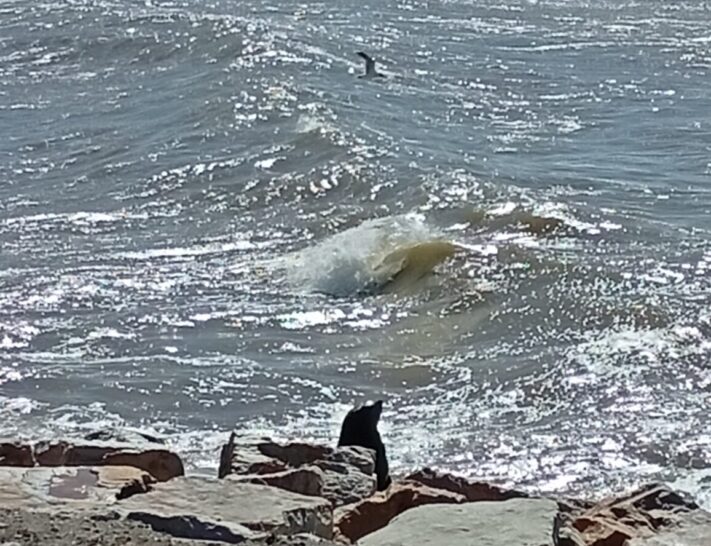 El tiempo para esta semana: temperaturas en ascenso en Miramar y posibles chaparrones el jueves