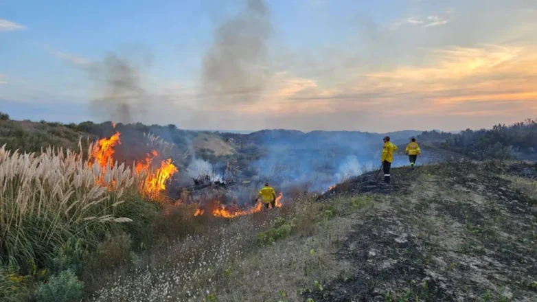 Incendio entre Miramar y Mar del Sud