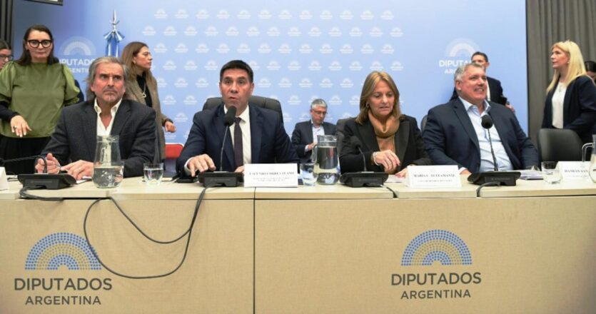 El PRO y la UCR apoyaron el recorte de subsidios de Zona Fría y avalaron el dictamen impulsado por Milei