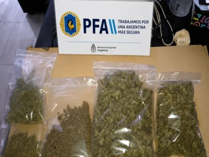 Golpe al narcotráfico: tres detenidos en operativos simultáneos en Mar del Plata, Miramar y Trelew