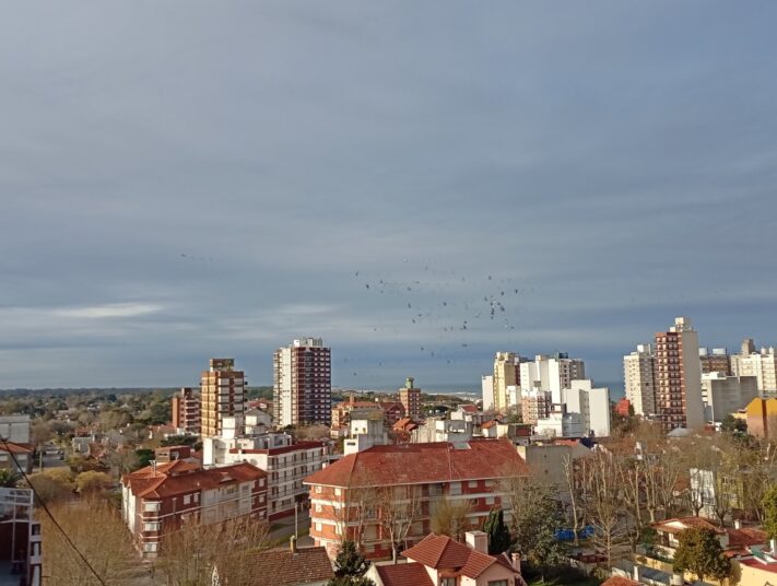 Miércoles con cielo mayormente nublado, frío y ráfagas de viento en Miramar