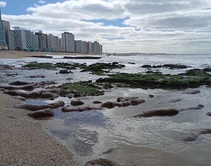 Lunes frío, con viento y ráfagas de hasta 50 km/h en Miramar