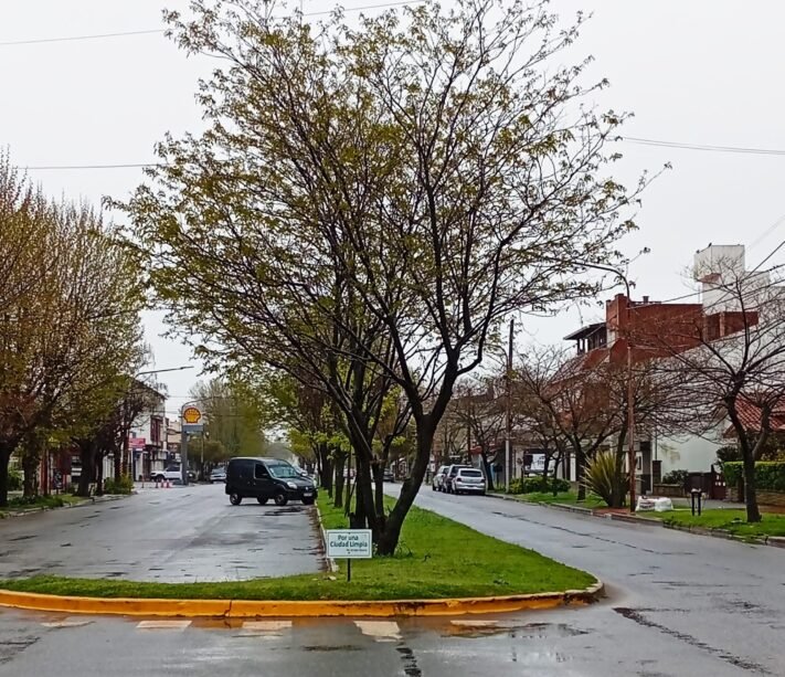 Sábado con lluvias y chaparrones: la máxima llegará a los 18 grados en Miramar