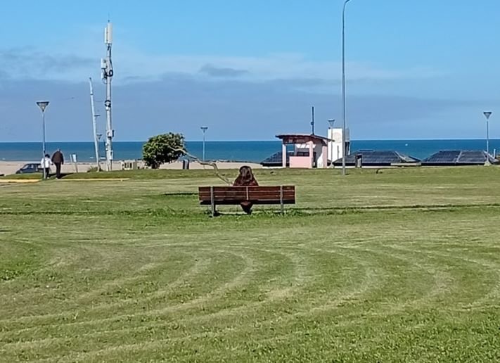 El tiempo en Miramar: viernes con lluvias y tormentas aisladas y una máxima de 18°C